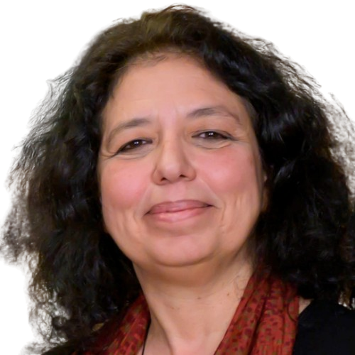 Prof._Lilian_Mitrou